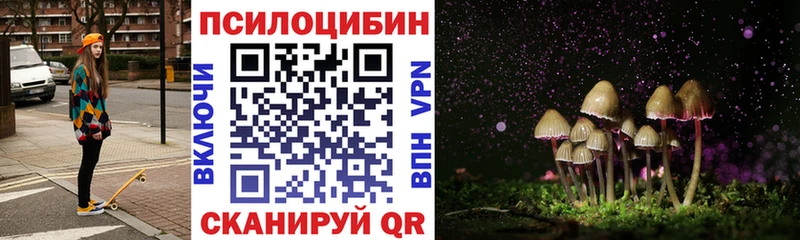 Псилоцибиновые грибы мицелий  Купить  Ленинск 